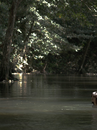 NANG MAI