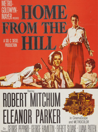 HOME FROM THE HILL