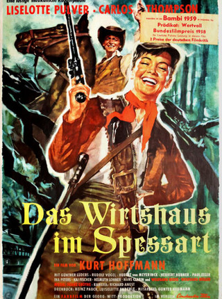 DAS SPUKSCHLOß IM SPESSART