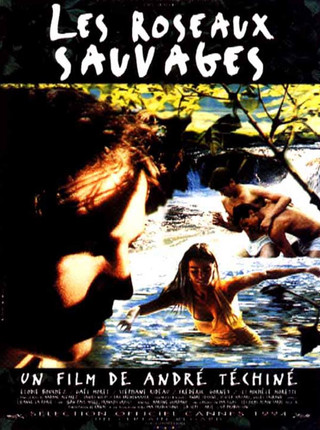 LES ROSEAUX SAUVAGES